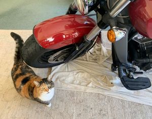 keep your motorcycle in the house