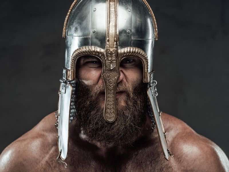 viking beards are cool