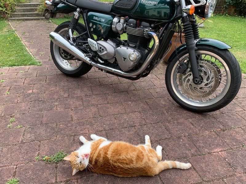 Hector on motorcycle security