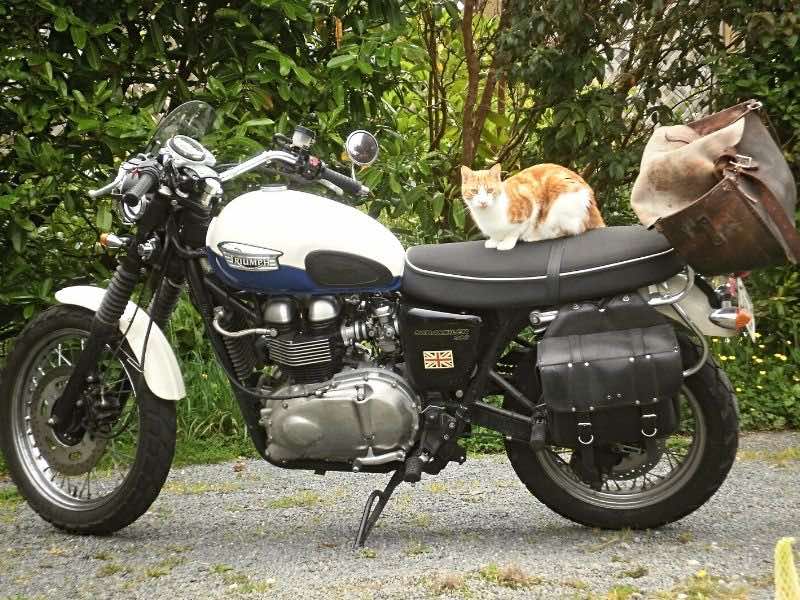motorcycle cats test ride for us