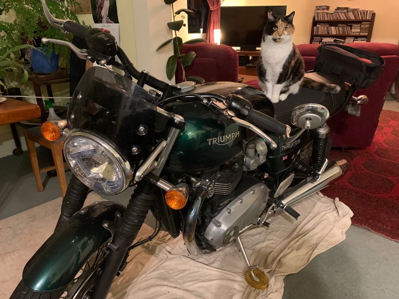motorcycle security is easier in the living room