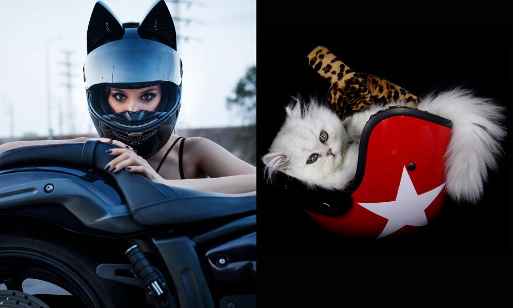 biker chicks vs biker cats - motorcycle helmets