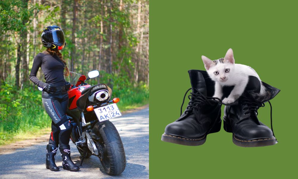 biker chicks vs biker cats - motorcycle boots 