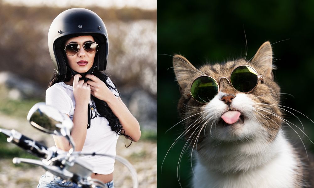 biker chicks vs biker cats - motorcycle sunglasses