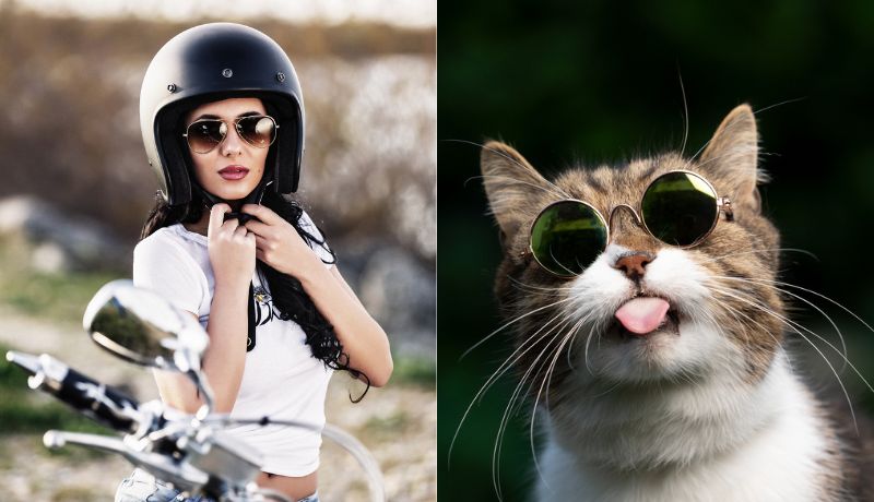 biker chicks vs biker cats who wore it the best